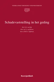 Omslag van Schadevaststelling in het geding