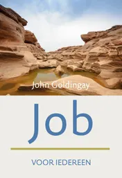 Omslag van Job voor iedereen