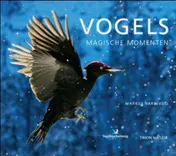 Omslag van Vogels, magische momenten
