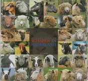 Omslag van Schapen in Nederland