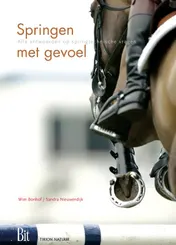 Omslag van Springen met gevoel
