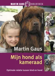 Omslag van Mijn hond als kameraad