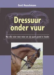 Omslag van Dressuur onder vuur