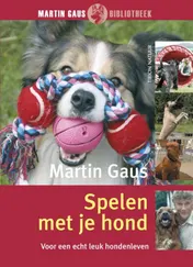 Omslag van Spelen met je hond
