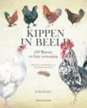 Omslag van Kippen in Beeld