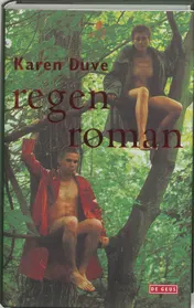 Omslag van Regenroman