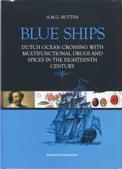 Omslag van Blue Ships