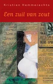 Omslag van Een zuil van zout