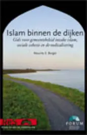 Omslag van Islam binnen de dijken