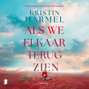 Omslag van Als we elkaar terugzien
