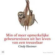 Omslag van Min of meer opmerkelijke gebeurtenissen uit het leven van een treuzelaar