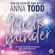 Omslag van Niets minder