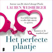 Omslag van Het perfecte plaatje