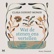 Omslag van Wat de stenen ons vertellen