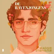 Omslag van De ravenjongens