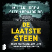 Omslag van De laatste steen