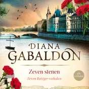 Omslag van Zeven stenen
