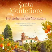 Omslag van Het geheim van Montague