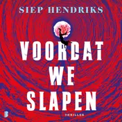 Omslag van Voordat we slapen