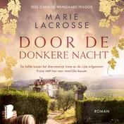 Omslag van Door de donkere nacht