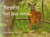 Omslag van Reeën het jaar rond