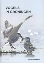 Omslag van Vogels in Groningen