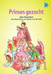 Omslag van Prinses gezocht