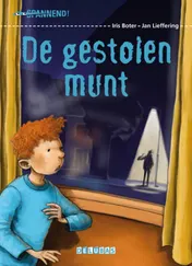 Omslag van De gestolen munt