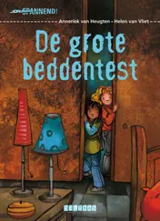 Omslag van De grote beddentest