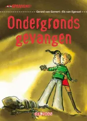 Omslag van Ondergronds gevangen