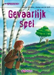 Omslag van Gevaarlijk spel