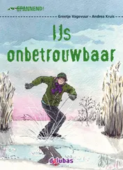 Omslag van IJs onbetrouwbaar