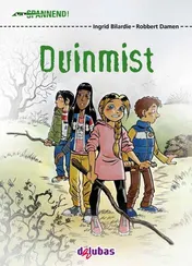 Omslag van Duinmist