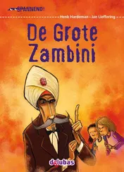 Omslag van De grote Zambini