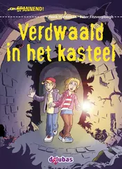 Omslag van Verdwaald in het kasteel