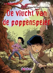 Omslag van De vlucht van de poppenspeler