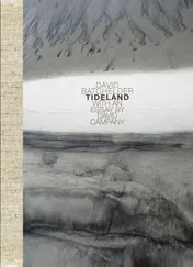 Omslag van Tideland