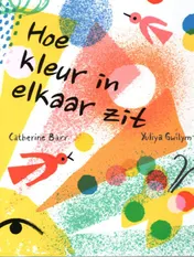 Omslag van Hoe kleur in elkaar zit