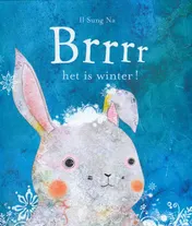 Omslag van Brrrr het is winter!