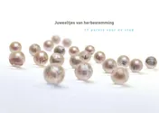 Omslag van Juweeltjes van herbestemming