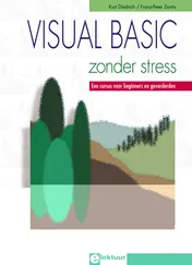Omslag van Visual Basic zonder stress