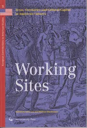Omslag van Working Sites