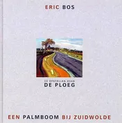 Omslag van Een palmboom bij Zuidwolde