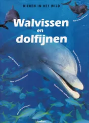 Omslag van Walvissen en dolfijnen