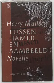 Omslag van Tussen hamer en aambeeld