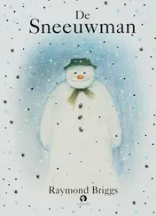 Omslag van De Sneeuwman