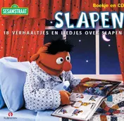 Omslag van Slapen