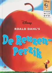 Omslag van Roald Dahl's De Reuzenperzik
