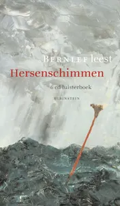 Omslag van Hersenschimmen