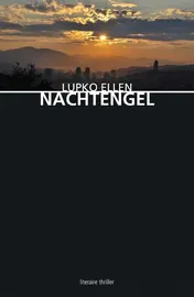 Omslag van Nachtengel